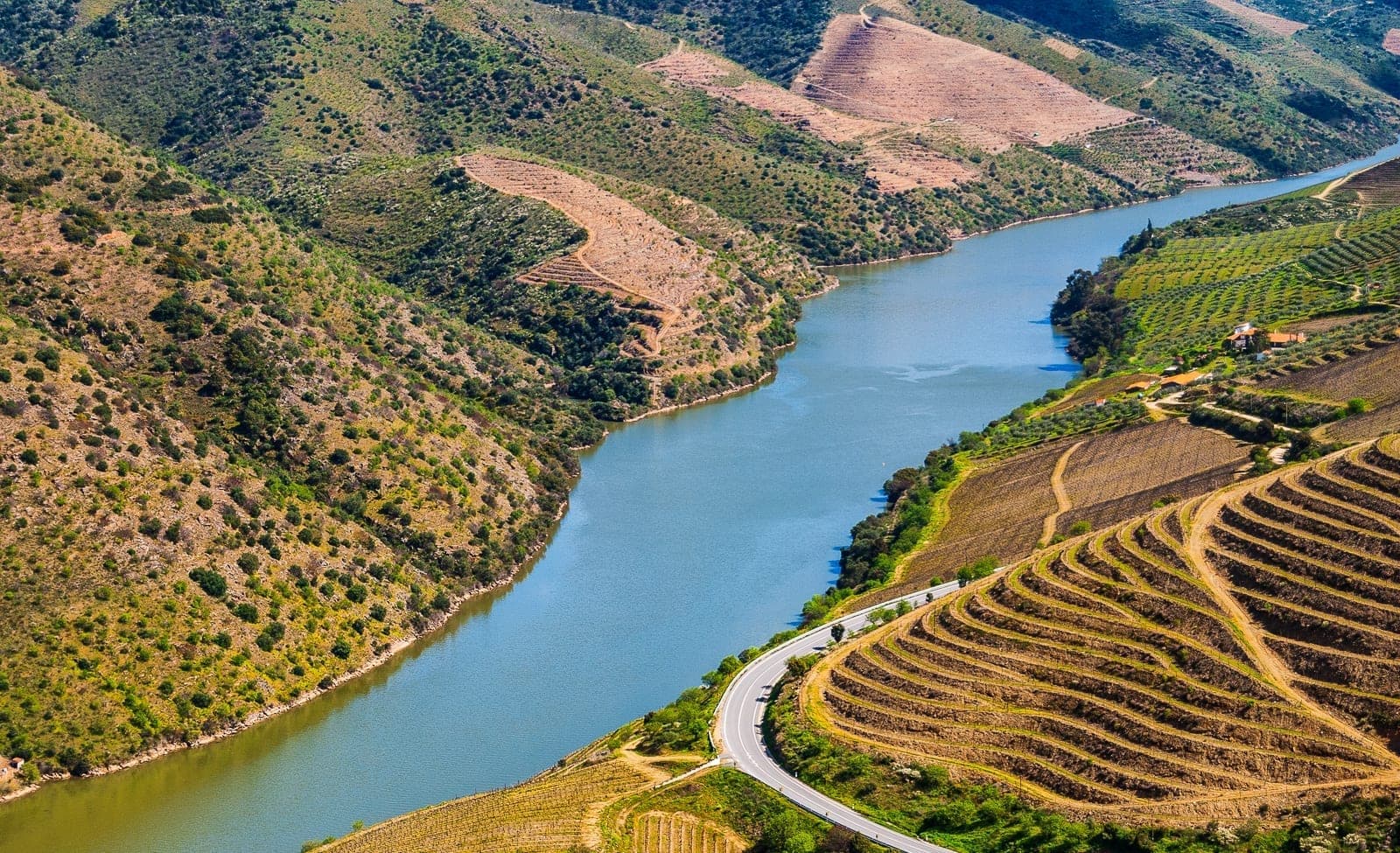 Vindima privada no Douro